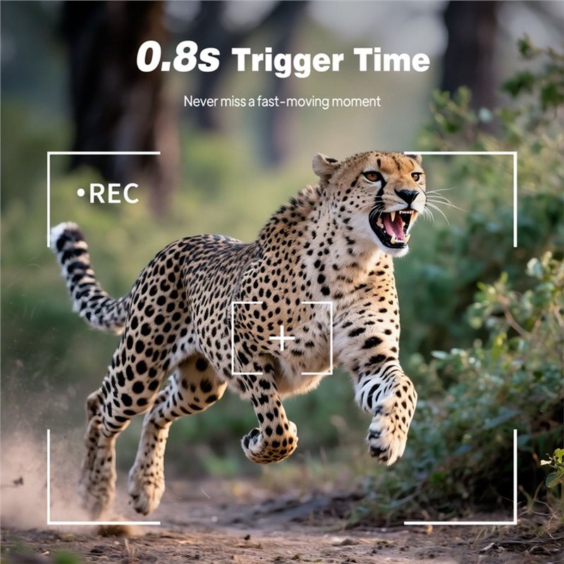 Câmera de Caça para Trilhas Ex - Trail Camera Infrared avaliação e preço